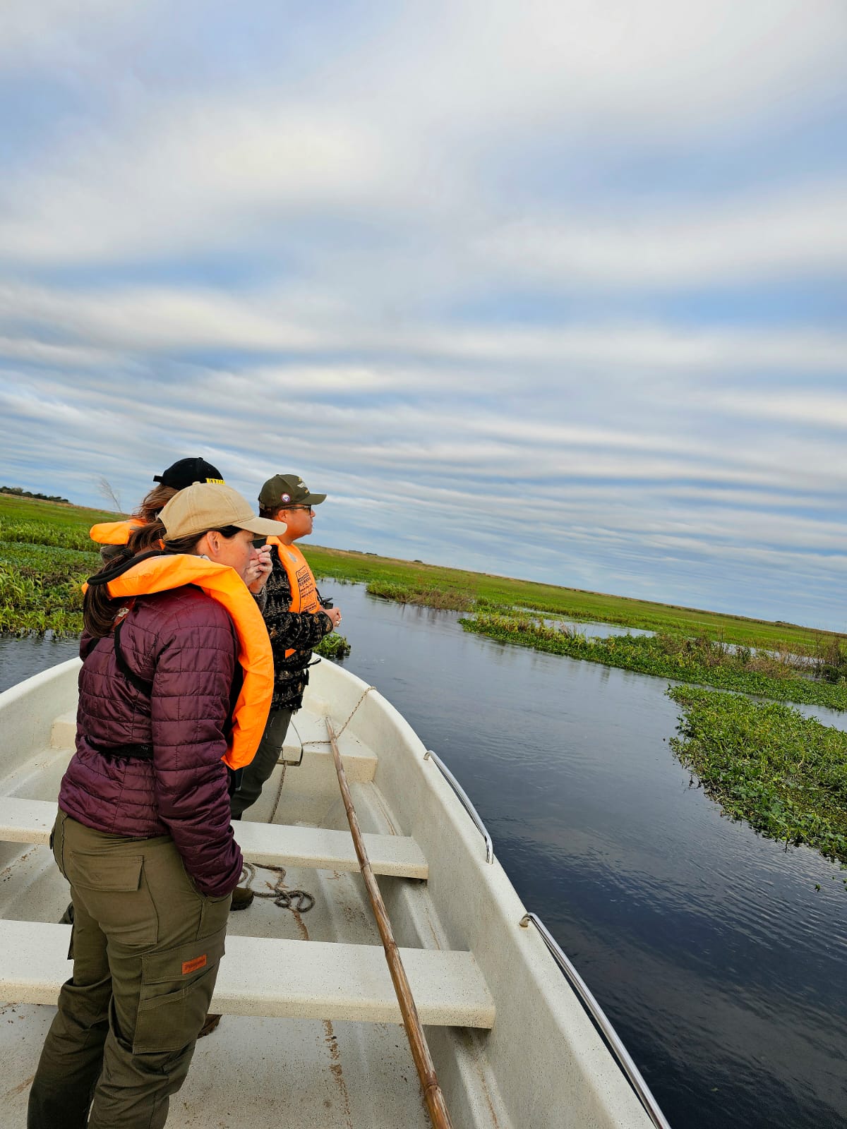 Atardecer en los esteros
