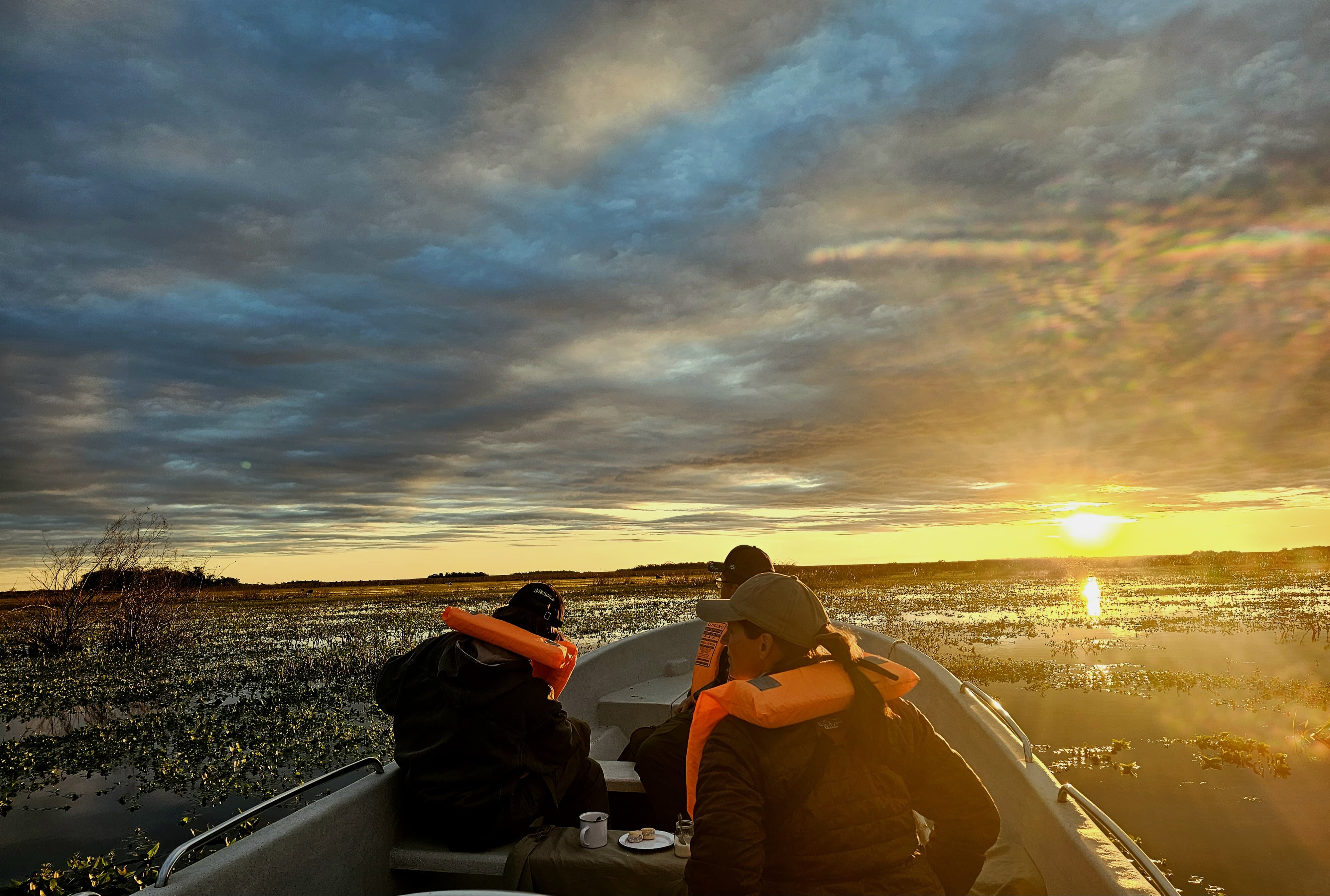 Avistaje de carpinchos