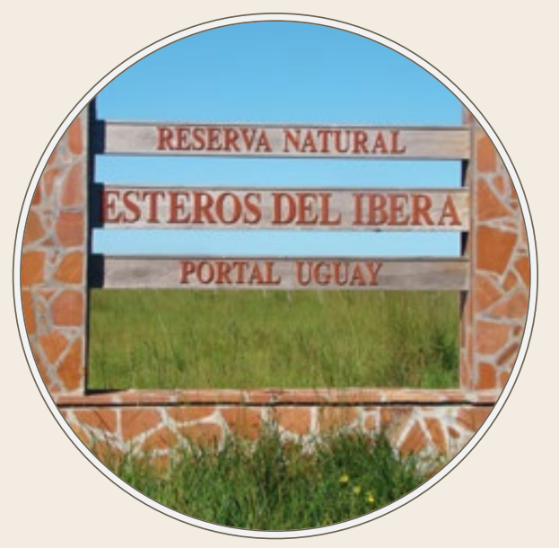 Imagen del portal Uguay